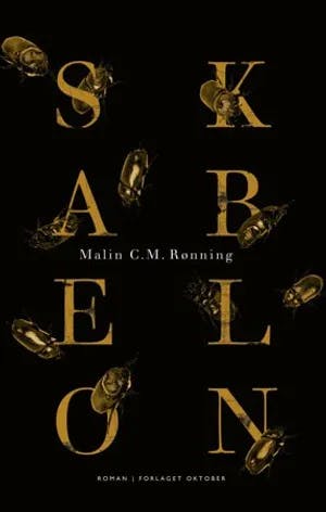 Omslag: "Skabelon : roman" av Malin C.M. Rønning